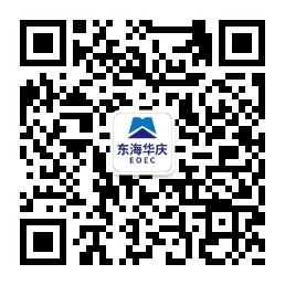 港澳宝粤66309查询